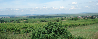 Sankt Margarethen im Burgenland (© Michael Pfeiffer)