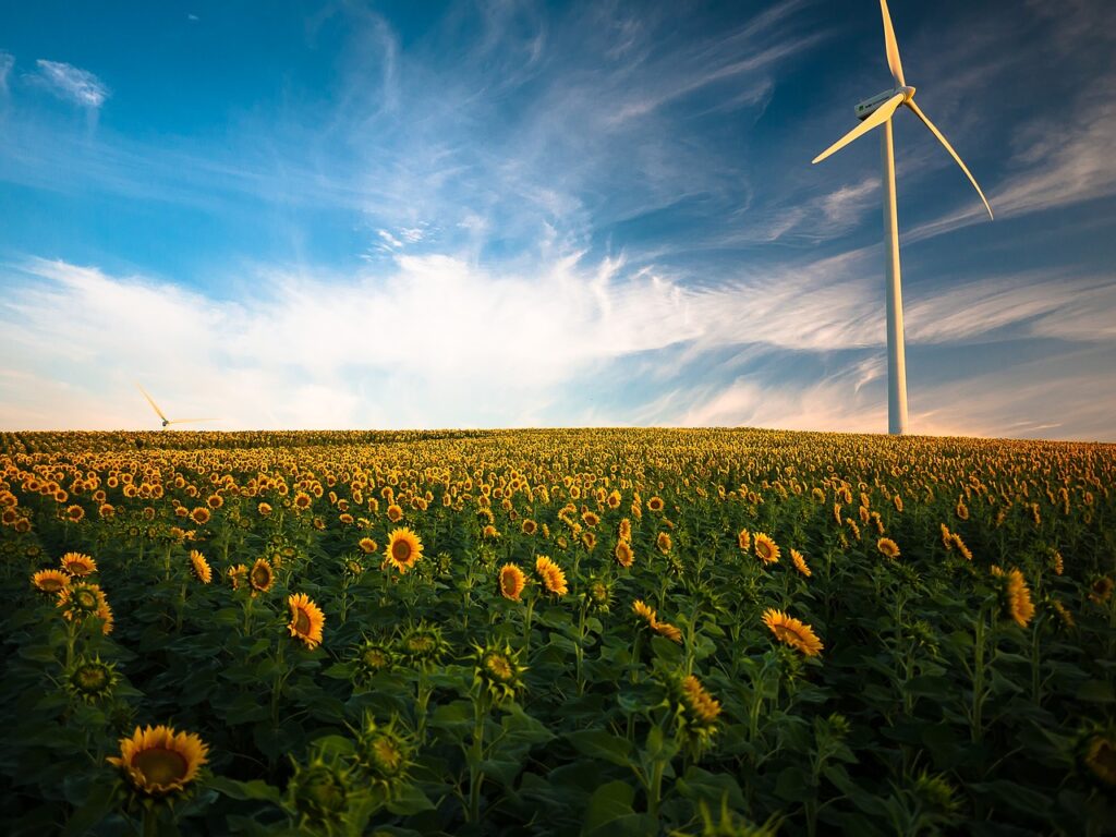 Im neuen Exzellenzcluster werden zwei innovative Wege zur Energieumwandlung eingesetzt: Die Elektrokatalyse nutzt Strom aus Windkraftanlagen und Photovoltaik, um Wasser und CO2 elektrochemisch in Wasserstoff, synthetische Kraftstoffe und Feinchemikalien umzuwandeln. Die Photokatalyse nutzt Sonnenlicht direkt für chemische Umwandlungen.