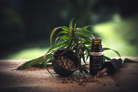 VwGH Erkenntnis: CBD-Blüten unterliegen dem Tabakmonopol